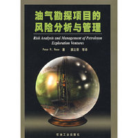 油气勘探项目的风险分析与管理
