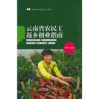 云南社科普及系列丛书·云南省农民工返乡创业指南