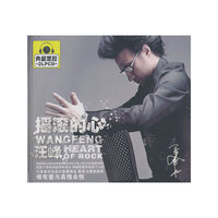 汪峰：摇滚的心（2CD）