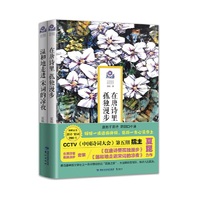 在唐诗里孤独漫步套装