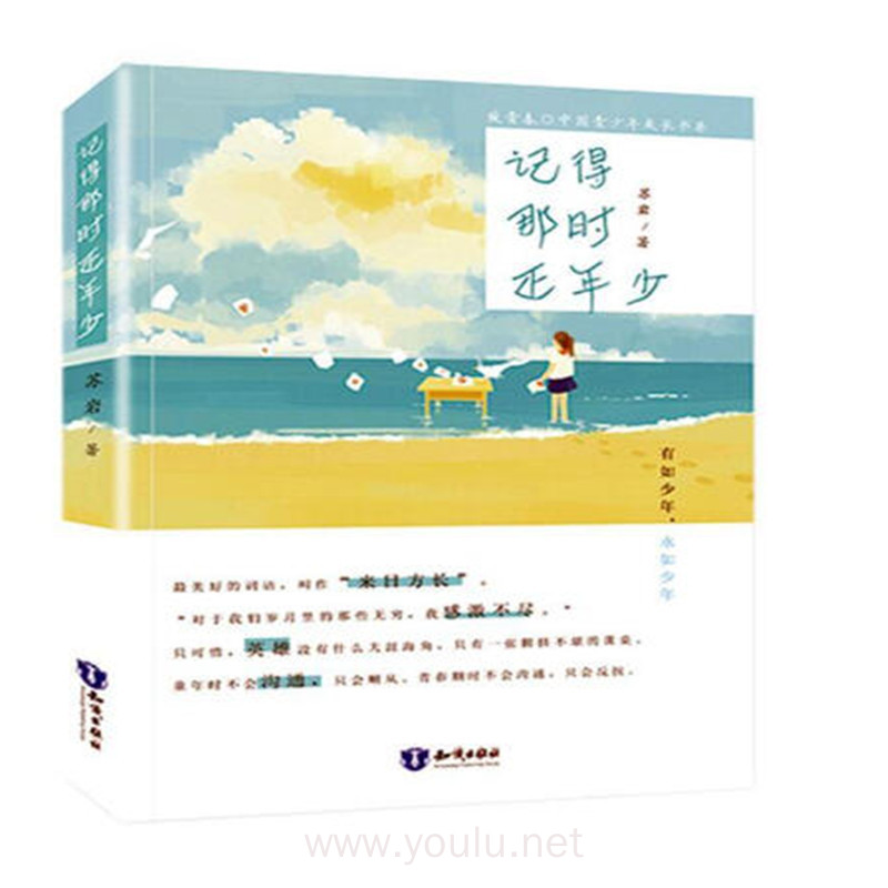 记得那时还年少 致青春中国青少年成长书系