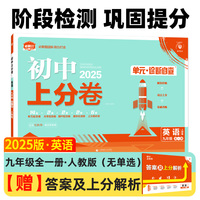 2025版理想树初中上分卷 九年级全一册 英语 阶段检测巩固提分 人教版