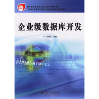 企业级数据库开发