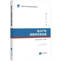 知识产权调查研究报告集