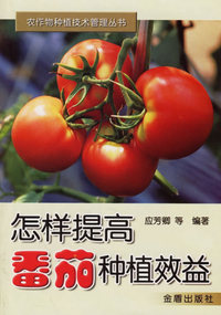 怎样提高番茄种植效益