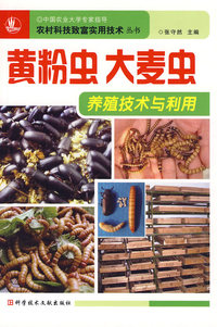 黄粉虫大麦虫养殖技术与利用