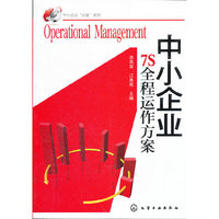 中小企业“必备”系列--中小企业7S全程运作方案