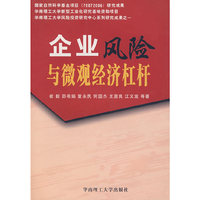 企业风险与微观经济杠杆