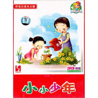 伴宝贝成长之歌：小小少年（2VCD）