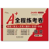 25春A+全程练考卷语文6年级 下册人教版