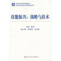技能振兴:战略与技术