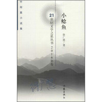 21世纪文学之星丛书2016年卷 小鲶鱼