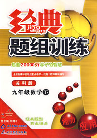 经典题组训练九年级数学—苏科版（下）