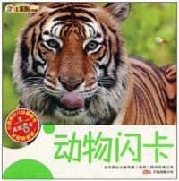 动物闪卡