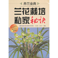 养兰金典兰花栽培私家秘诀