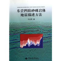 东营凹陷砂砾岩体地震描述方法