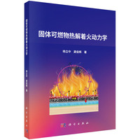 固体可燃物热解着火动力学杨立中9787030809865科学出版社