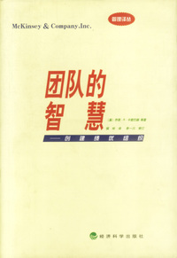 团队的智慧--创建绩优组织（精）