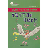 在数字王国的神秘旅行
