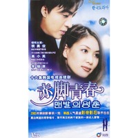 十六集韩国电视连续剧赤脚青春完整版16碟精装(VCD)