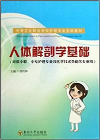 人体解剖学基础