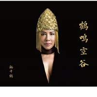 杨千鹤：鹤鸣空谷