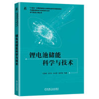 锂电池储能科学与技术   王顺利 等