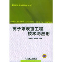 离子束表面工程技术