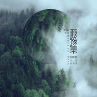 陈辉权：暇豫集（CD）