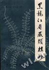 黑龙江省蕨类植物