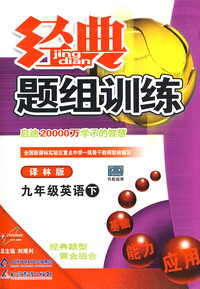 经典题组训练九年级英语—译林版（下）