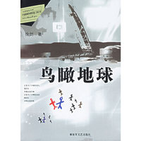 鸟瞰地球