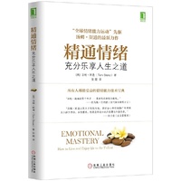 精通情绪-充分乐享人生之道