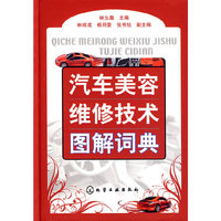 汽车美容维修技术图解词典