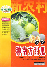 教你种南方甜瓜