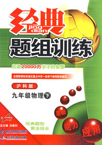 经典题组训练九年级物理—沪科版（下）