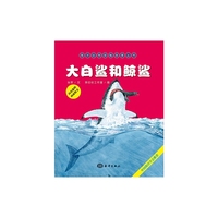 大白鲨和鲸鲨