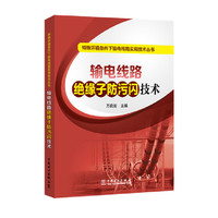 输电线路绝缘子防污闪技术