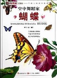 空中舞蹈家-蝴蝶
