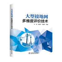 大型接地网多维度评价技术