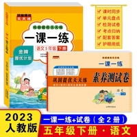 巩固提优天天练一课一练 五年级语文下册（书+试卷）全2册 小学教材练习册 随堂课后专项训练