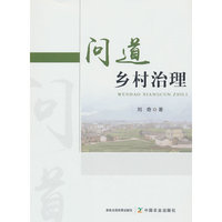 问道乡村治理