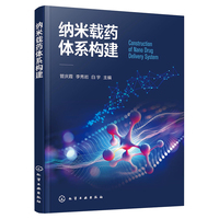 纳米载药体系构建