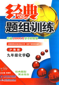 经典题组训练九年级化学—沪教版（下）