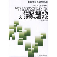 转型经济发展中的文化断裂与贫困研究