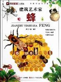 建筑艺术家-蜂