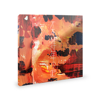 张璐诗 2016个人专辑《才不枉过年少吧》（CD）摩登天空