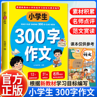 小学生300字作文
