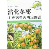 沾化冬枣主要病虫害防治图谱
