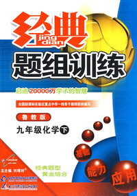 经典题组训练九年级化学—鲁教版（下）